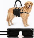 CWV Adjustable Male Dog Lift Harness for Large Dogs, Soft and Portable Dog Dling for Large Dogs Hind Leg Support,Help em up Harness for Senior, Injured, Disabled and After Surgery Dogs, Large