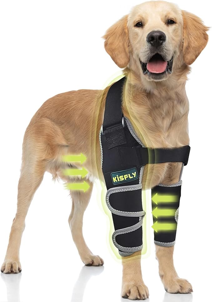 Dog Elbow Brace Pads for Dogs, Supports Elbow and Shoulder Joints, Helps Reduce Calluses, Pressure Sores & Hygroma, Reflective Design, Both Legs, Size L