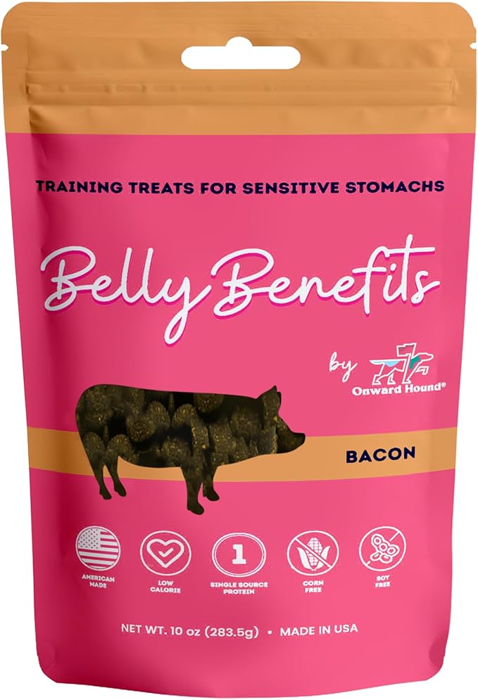 Onward Hound Training Treats for Dogs - Soft Bacon - Low Calorie Dog Training Treats for Sensitive Stomachs with Single Source Premium Protein, Corn Free, & Soy Free Formula - 10 oz