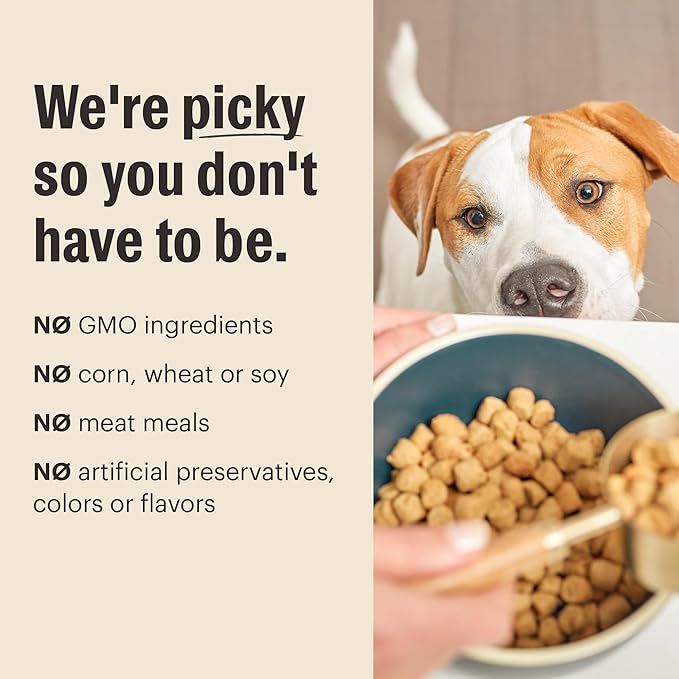 The Honest Kitchen Human Grade Whole Food Clusters Dry Dog Food - Grain Free Beef, 20 lb Bag