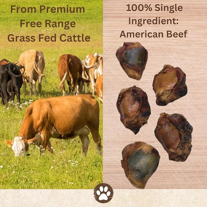 Top Dog Chews - Natural Chews Beef Knee Caps Dog Treat 50Ct - Long Lasting Dog Bones for Aggressive Chewers, Low Fat, High Protein.