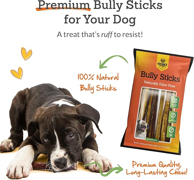 Advance Pet Products Premium 6 Inch Bully Sticks for Dogs (Pack of 100) – 100% Beef Dog Chews, Odor-Free, Long Lasting Treat for Aggressive Chewers, High Protein, Gluten & Rawhide Free, Easy to Digest