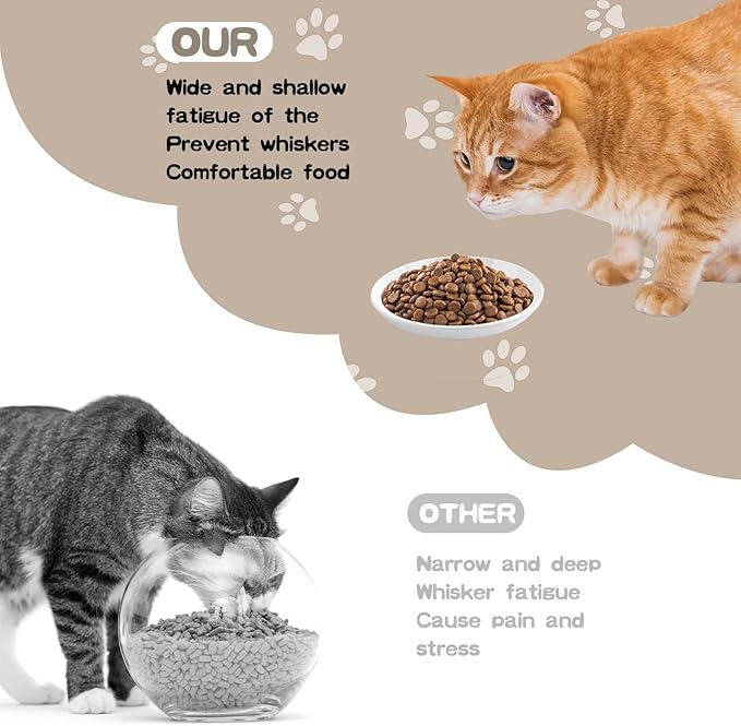 6 Pack Cat Food Bowl, Ceramic Cat Bowls, Anti Whisker Fatigue Cats Bowl Set,5.5 Inches Shallow Wide Kitten Plates for Food and Water (White-A)