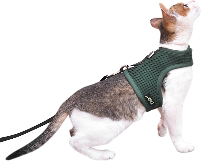 Kitty Harness and Leash for Walking Escape Proof Breathable Mesh Fabric, Solid Green, Small, Adjustable Cat Walking Jackets, Padded Stylish Cat Vest