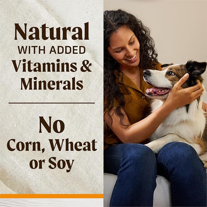 Healthy Bites Grain Free Dog Treats, Soft Treats with Bone Broth for Dogs, Chicken and Bone Broth Recipe - 6 oz. Pouch