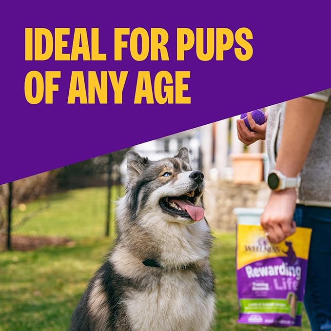 Wellness Rewarding Life Dog Treats, Training Treat, Grain Free, Soft Chicken & Lamb (6 Ounce Bag)