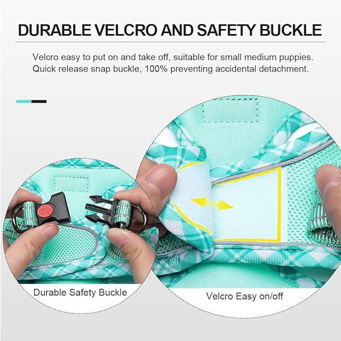 Mercano Soft Mesh Dog Harness and Leash Set, No-Chock Step-in Reflective Breathable Lightweight Easy Walk Vest Harnesses with Safety Buckle for Small Dogs, Cats (Light Green, L)