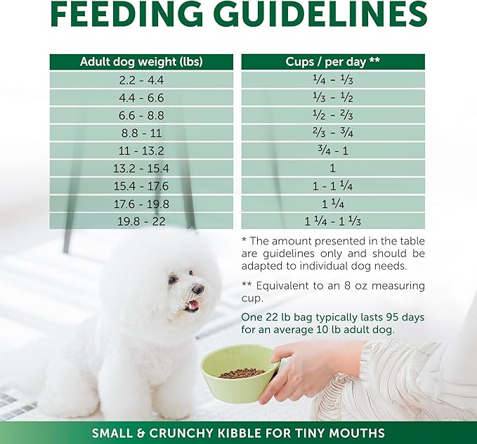 Nature's Protection Dry Dog Food for Small Breed - High Protein, Grain-Free Anti-Tear Stain Diet for White & Light Fur Adult Dogs, Small Bites Kibble (Superior Care - White Fish, 22 lb)