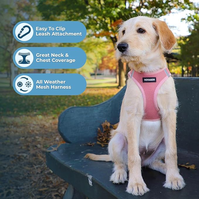 Best Pet Supplies Voyager Step-in Air All Weather Mesh Harness and Reflective Dog 5ft Leash Combo with Neoprene Handle, for Small, Medium and Large Breed Puppies - Set (Pink), X-Small