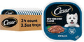Cesar Filets in Gravy, Adult Wet Dog Food, New York Strip Flavor, Wet Food for Dogs, 3.5 oz Trays, 24 Count