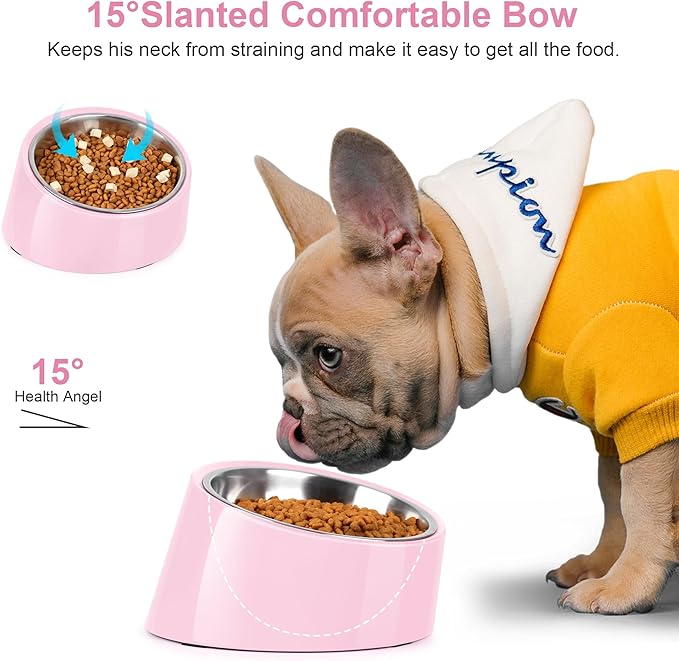 Tilted Dog Bowl Non-Slip & Non-Spill Pet Feeder with Elevated Detachable Melamine Stand, Easy to Get Food Dog Dish, L/300ml Pink