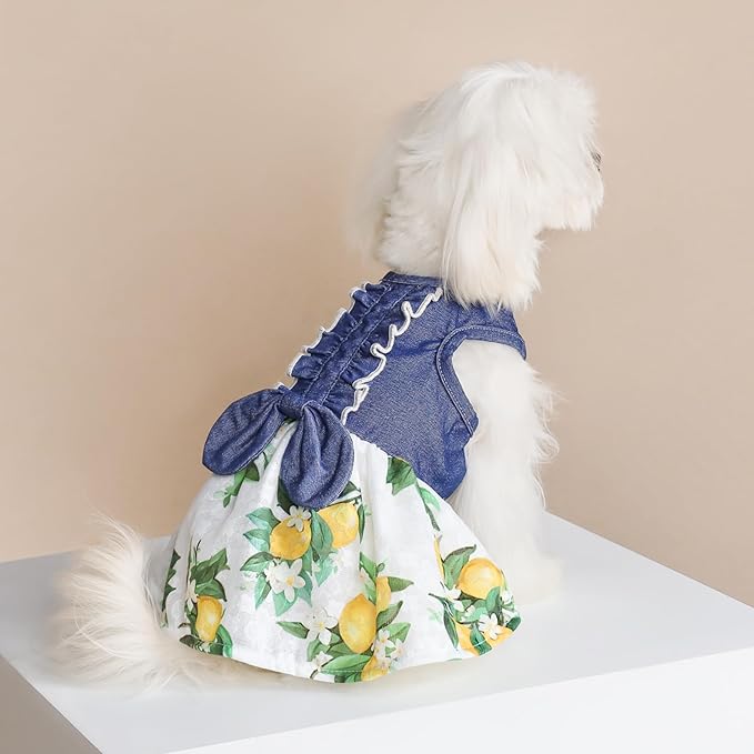 Fitwarm Lemon Denim Dog Dress, Dog Clothes for Small Dogs Girl, Pet Cat Outfit, Blue, White, Yellow, Green, XXS
