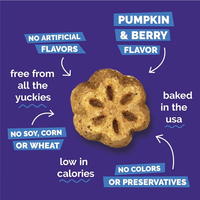Fruitables Skinny Mini Dog Treats (3 Cal) – Healthy Soft Training Treats – Pumpkin & Blueberry, 5 oz (4 Pack)