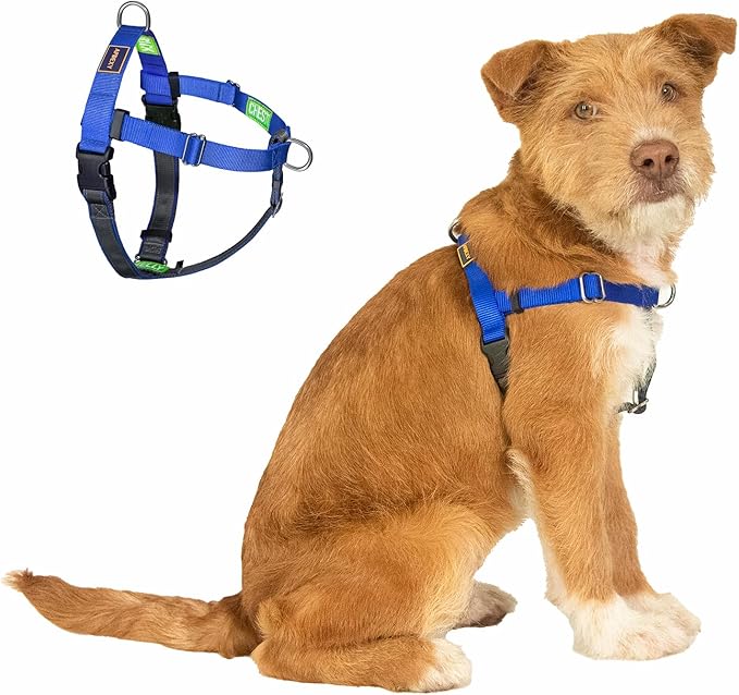 Freedom No Pull Dog Harness, Easy Walker, Stop Pulling with Two Stainless D-Rings, Comfortable, Sewn-in Instructions Tags for Easy Use, for Small Dogs Weight 20-30 lbs (Blue, Small)
