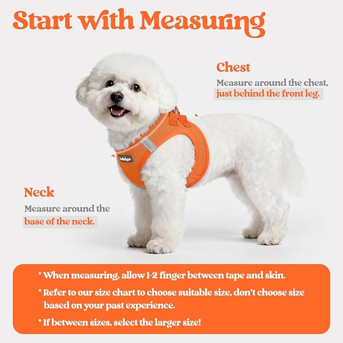 rabbitgoo Dog Harness Small Sized and Leash Set, Step in Soft Light Puppy Vest, Breathable Mesh Pet Harness, Reflective for Safe Easy Walking, Orange XS