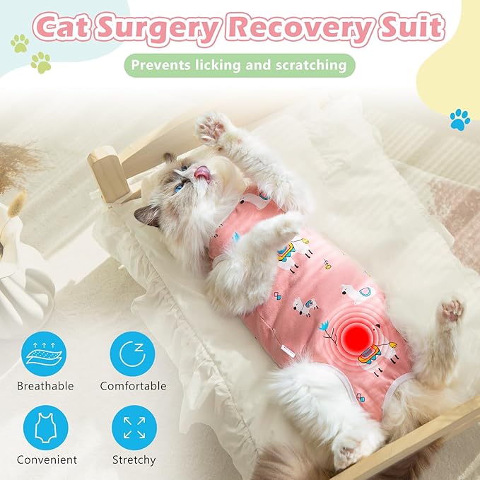2Pack Cat Surgery Recovery Suit Clothes for Female and Male,Cat Onesie Shirts After Surgery Spay Surgical Recovery Suit, Cone Collar to Stop Licking Abdominal Wound Alternative-S