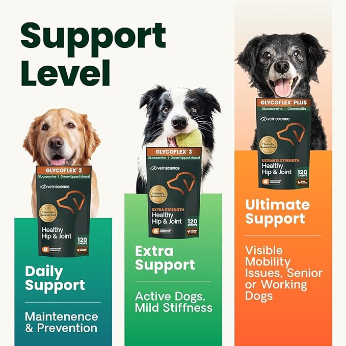 VetriScience Ultimate Strength Healthy Hip & Joint Chews, GlycoFlex Glucosamine, Chondroitin and Green-Lipped Mussel Joint Support Supplement for Dogs, Soothe Joint Discomfort, Duck, 120 Count