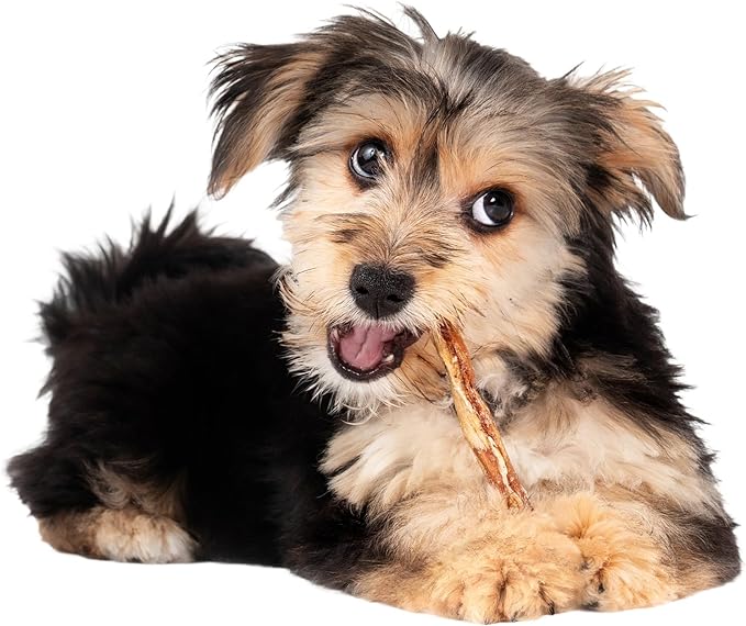 Fieldcrest Farms Nothing to Hide Natural Rawhide Alternative Small Twist Stix for Dogs - (10 Sticks) All Natural Easily Digestible Chews for All Breed Dogs - Great for Dental Health (Pack of 2)