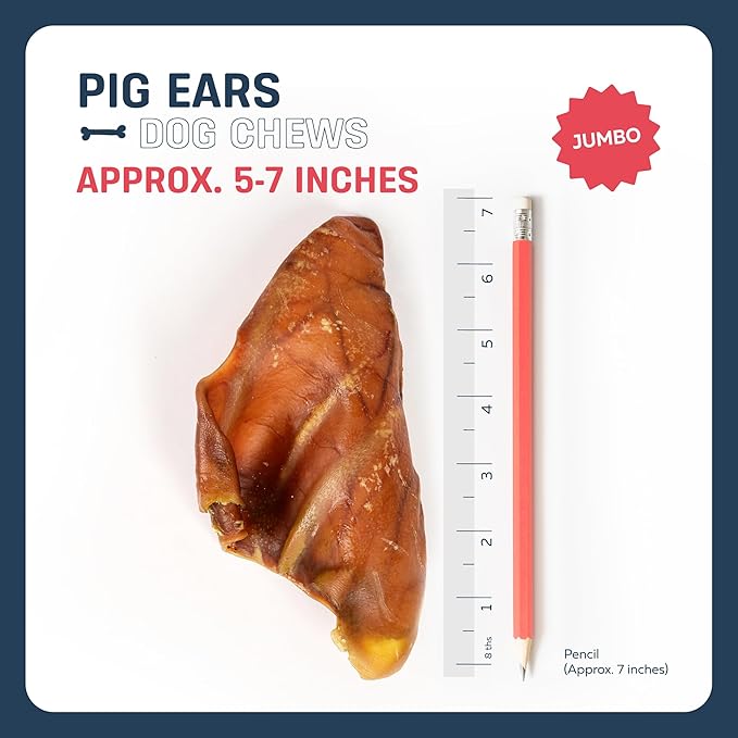 Big Lu – Whole Pig Ears for Dogs, Bulk 30 Count, All-Natural Single-Ingredient Pork Treats for Medium and Large Dogs, Easily Digestible, Supports Joint Health with Glucosamine and Chondroitin