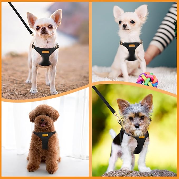 SlowTon Dog Harness Small Sized Dog - Soft XXS Dog Harness and Leash Set No Pull No Chock, Adjustable Lightweight Puppy Harness for XS Small Medium Dogs Cats (Solid Black, S)