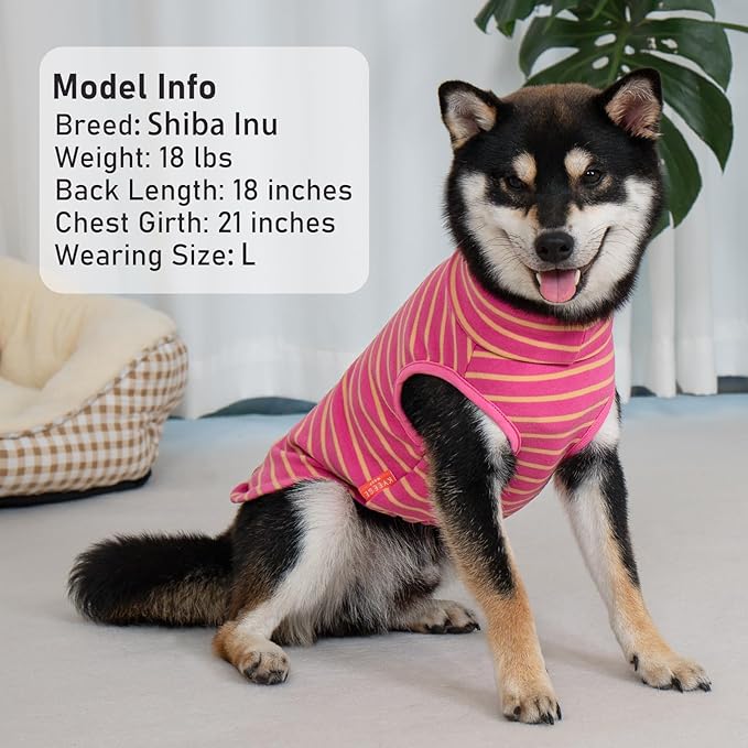 KYEESE 2Pack Dog Sweater Turtleneck Pets Coats Warm Stretchy Pet Sweatshirt Pullover Small Pet Sweaters Soft Dogs Clothes Dog Sweaters for Small Dogs Girl
