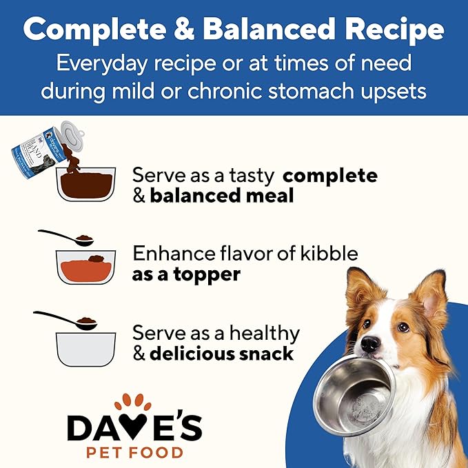 Dave's Dog Food Bland Diet Dog Food for Sick Dogs with Upset Stomach (Chicken & Rice), Economy Size for Large Pups or Big Eaters, Sensitive Stomach, Economy Size 22 oz (Case of 12)