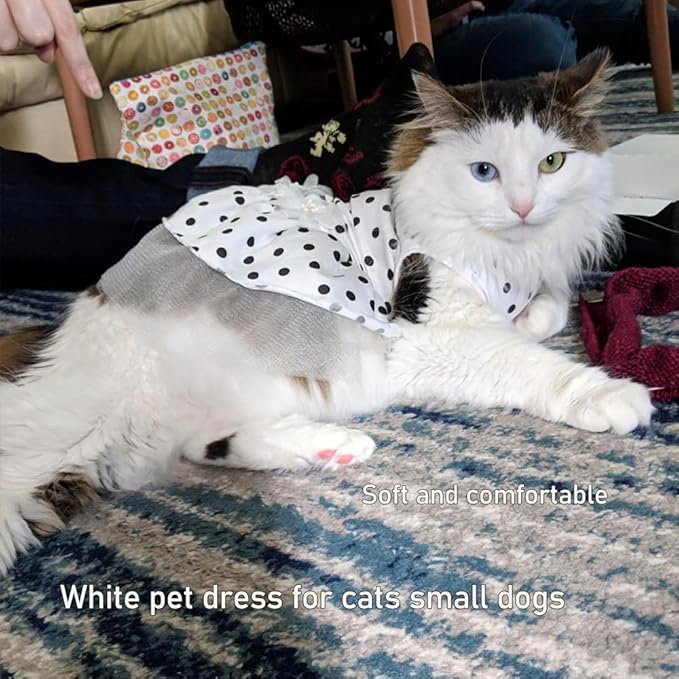 ANIAC Floral Cat Bridal Wedding Dresses Polka Dots Dog Princess Tutu Dress with Flowers Stretchy Breathable Small Puppy Clothes for Girls Pet Birthday Outfit (White, Large)
