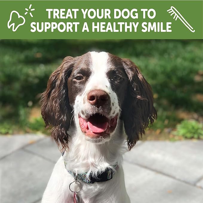 WHIMZEES Wellness Puppy Dog Dental Treats, Extra Small & Small Size Stick, (30 Count)