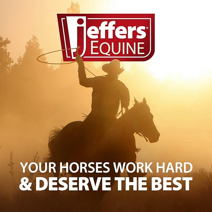 Jeffers Motion Potion Horse Joint Supplement Pellets – Glucosamine HCL, MSM, Chondroitin, Hyaluronic Acid, Vitamin C & E, Daily Equine Support for Senior & Active Horses – 3.1, lbs 160 Day Supply