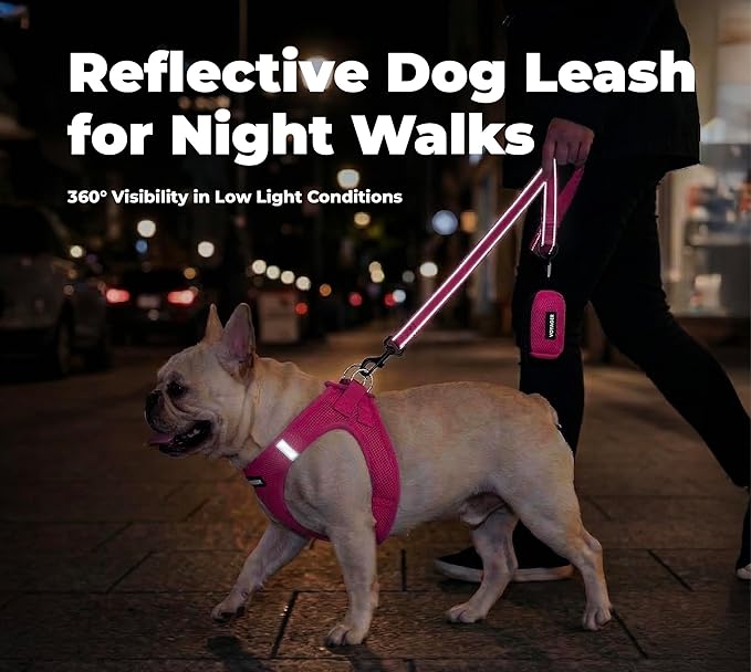 Best Pet Supplies Voyager Reflective Dog Leash or Collar with Neoprene Handle, for Small, Medium, and Large Breed Puppies, Cute and Heavy Duty for Walking, Running and Training - Fuchsia Leash, L