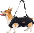 Dog Lift Harness, Full Body Dog Lift Harness, Lift Harness for Senior/Small/Medium Dogs, Disabled, Joint Injuries, Arthritis, Loss of Stability Dogs Walk