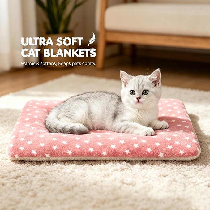 4 Pack Cat Bed Mat, 19" x 13" Soft Fluffy Flannel Small Pet Blanket, Washable Sleeping Pad for Indoor Cats, Kittens, Puppies, Star Print - Grey
