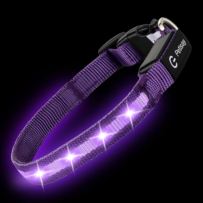 LED Dog Collar for XSmall Dogs & Toy Breeds – USB-C Rechargeable Light Up Dog Collar, Fully Waterproof Adjustable Glow Collar for Night Walking & Safety(Purple,XS)
