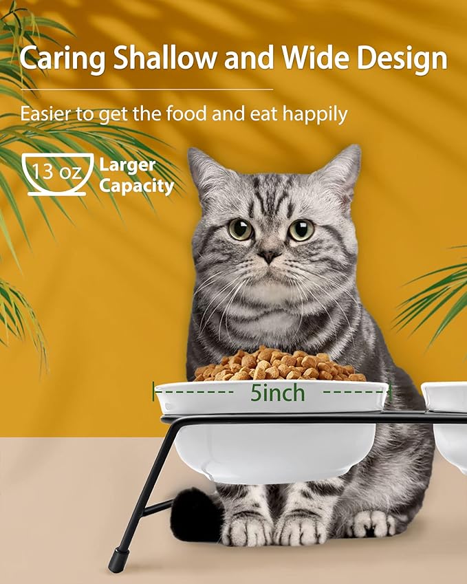 Anti-Vomiting Raised Cat Bowls - 2 × 13 oz Ceramic Cat Food & Water Bowls with Non-Slip Stainless Steel Stand, Dishwasher Safe for Indoor Cats