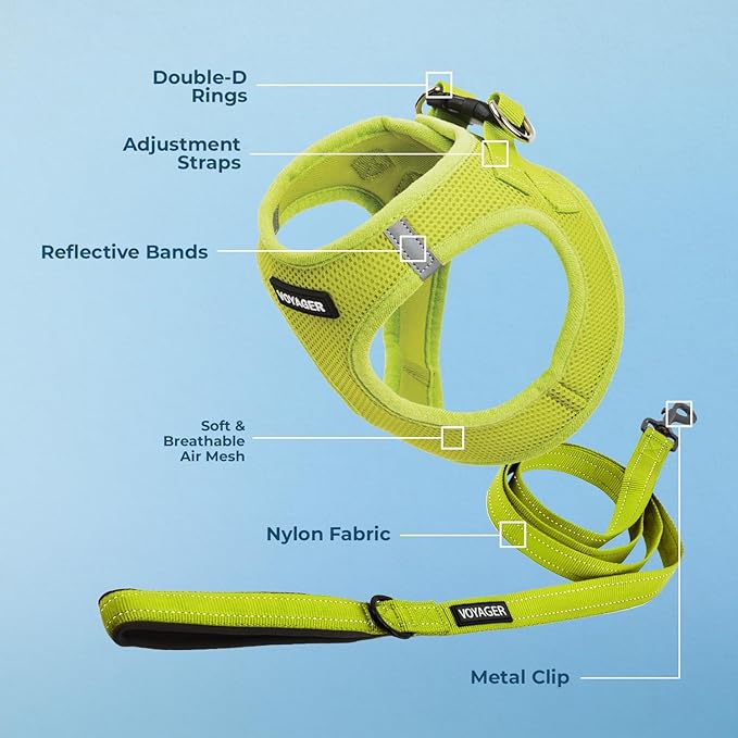 Best Pet Supplies Voyager Step-in Air All Weather Mesh Harness and Reflective Dog 5ft Leash Combo with Neoprene Handle, for Small, Medium and Large Breed Puppies - Set (Lime Green), Large