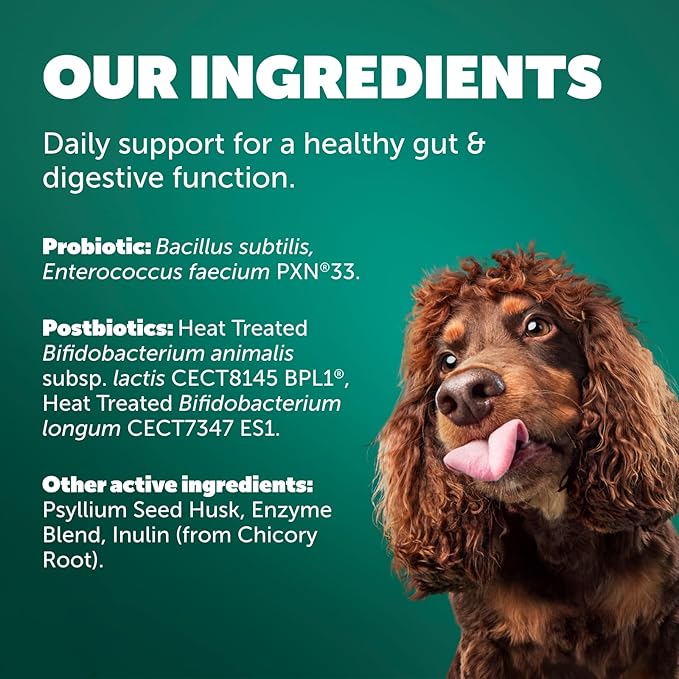 Protexin Daily Care Gut+ Digestive | 60 Dog Chews, Chicken and Carob Flavor Dog Supplement | Probiotics for Dogs, Dog Postbiotics