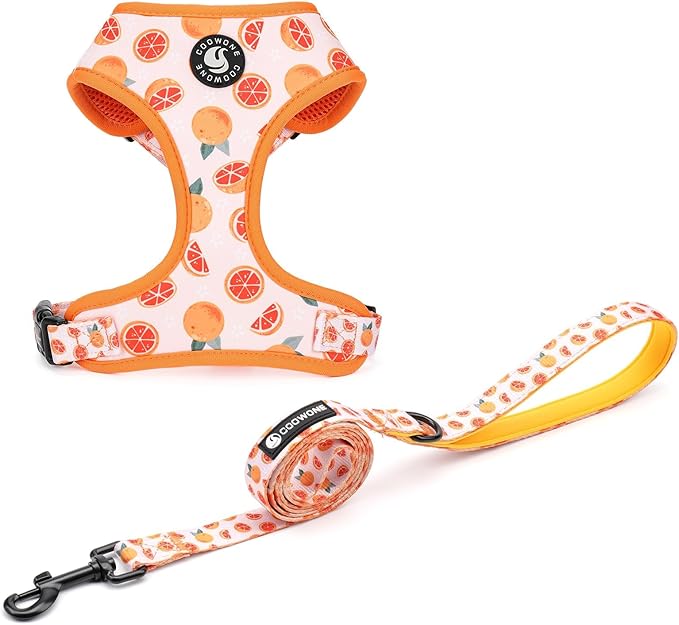 Dog Cat Harness and Leash Set, Puppia Soft Mesh Padded and Adjustable Puppy Vest Cute Dog Clothes Escape Proof Easy Walk Pet Accessories (Grapefruit, M (Neck 13.4"-16.5"; Chest 17.7"-23"))