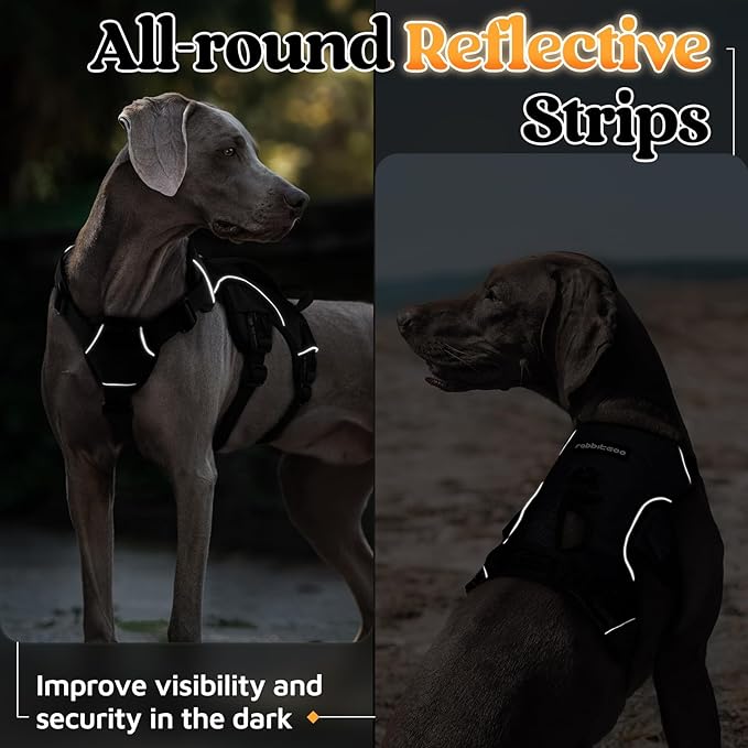 rabbitgoo Escape Proof Dog Harness with Large Handle