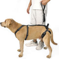 COODEO Professional Dog Sling for Hind Leg Support - Aid for Post-ACL/TPLO Surgery & Senior Dogs, Secure,Breathable & Machine-Washable with Reflective Edging for Safe Walks (Black, L)
