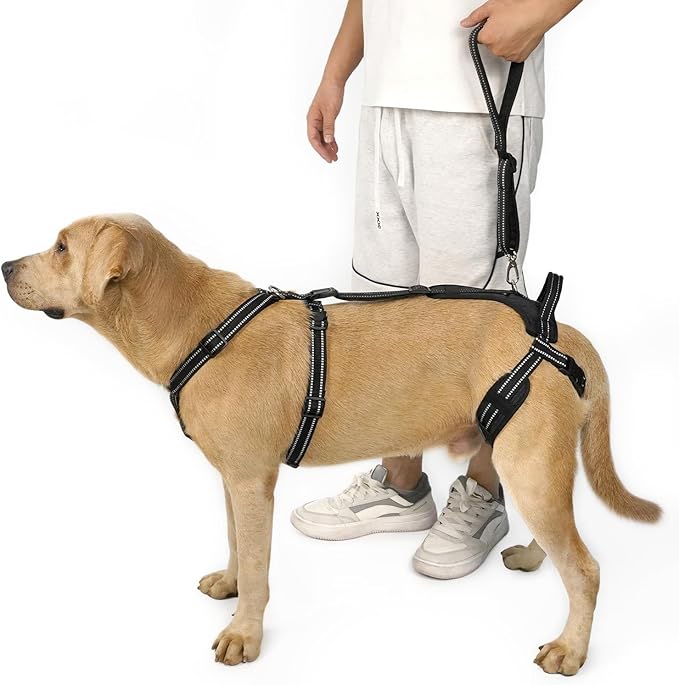 COODEO Professional Dog Sling for Hind Leg Support - Aid for Post-ACL/TPLO Surgery & Senior Dogs, Secure,Breathable & Machine-Washable with Reflective Edging for Safe Walks (Black, M)