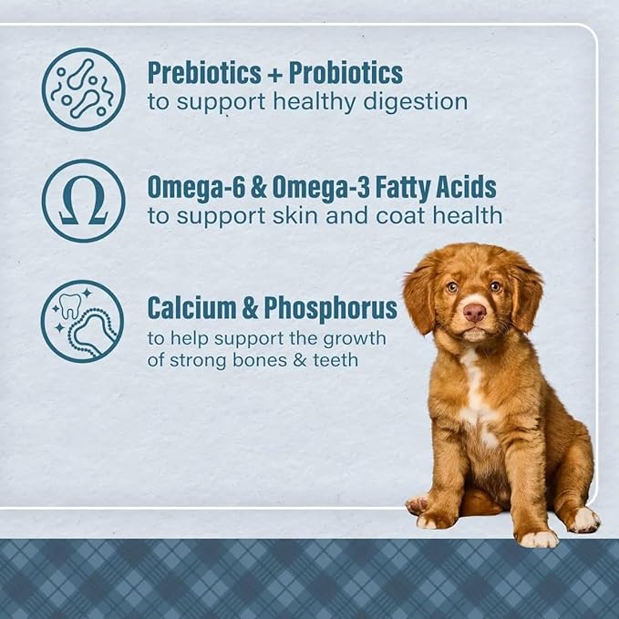 Nutrena Loyall Life Puppy Food Chicken & Brown Rice (6 Pounds), 1 Count (Pack of 1)