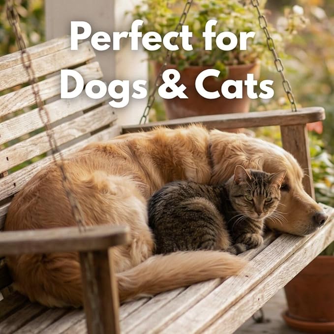 Freeze Dried Sockeye Salmon Pet Treats for Dogs & Cats, Human Grade, Fisherman Direct, Premium Wild Caught Alaskan, Single Ingredient, Omega 3, Natural Healthy Dog Training Treats, Made in USA
