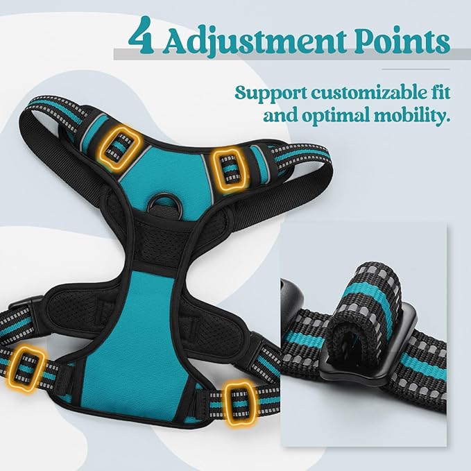 rabbitgoo Dog Harness No Pull with 2 Leash Clips, Adjustable Soft Padded, Reflective Oxford No Choke Pet Vest with Easy Control Handle for Medium Sized Dogs, Teal, M