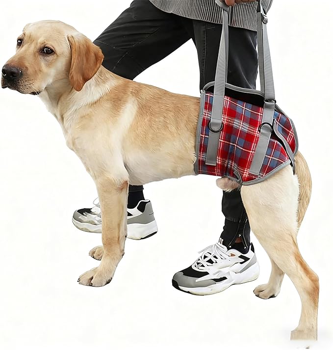 Dog Lift Harness with Handle – Adjustable Pet Support Sling for Rear Legs & HIPS, Padded Detachable Handle, Senior Dog Mobility Aid & Post-Surgery Walking Help(Hint Legs Blue,M)