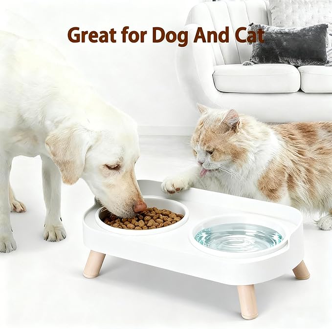 Elevated Cat Bowls, 2 Stainless Steel Raised Cat Food and Water Bowl Set, Splash Proof & Non-Slip, Whisker Fatigue Friendly, Dishwasher Safe for Cats and Small Dogs - White