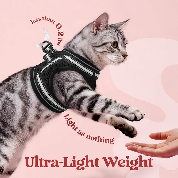 rabbitgoo Cat Harness and Leash Set for Walking Escape Proof, Adjustable Soft Kittens Vest with Reflective Strip for Cats, Comfortable Outdoor Vest, Black, S
