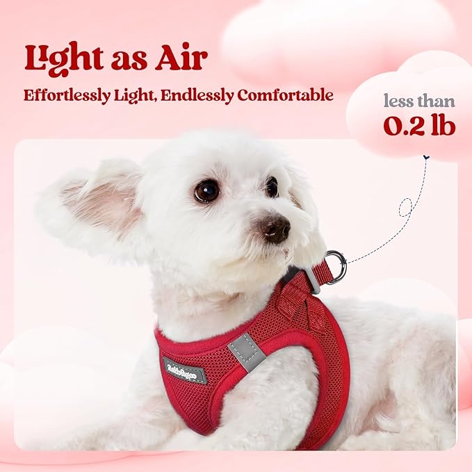 rabbitgoo Dog Harness Small Sized and Leash Set, Step in Soft Light Puppy Vest, Breathable Mesh Pet Harness, Reflective for Safe Easy Walking, Red XXS
