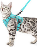 Cat Harness and Leash Set Escape Proof Tactical Extra Large Kitten Harness Emotional Support Cat Vest, Turquoise, XXL