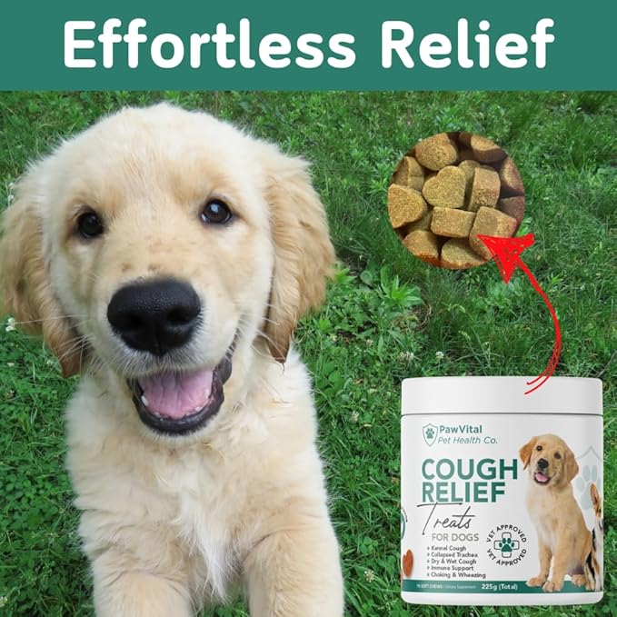 Dog Cough Medicine - 100% Natural Respiratory Support - Relief for Cough and Breathing Discomfort - All-Natural Treats Made with Real Chicken