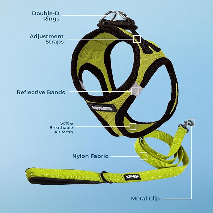 Best Pet Supplies Voyager Step-in Air All Weather Mesh Harness and Reflective Dog 5ft Leash Combo with Neoprene Handle, for Small, Medium and Large Breed Puppies - Set (Lime/Black Trim), X-Small